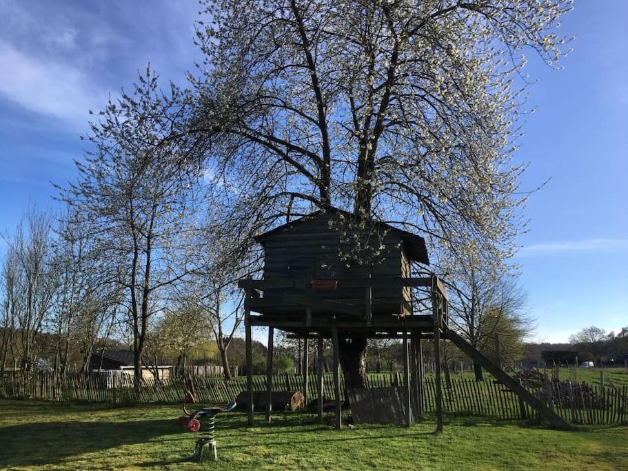 Willa Gerestaureerde Hoeve Met Zicht Durbuy Zewnętrze zdjęcie